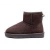 UGG 1978AUS Classic Ankle Boot